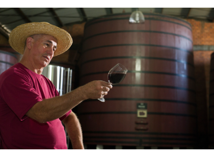 Tour Gran Reserva - Vale dos Vinhedos